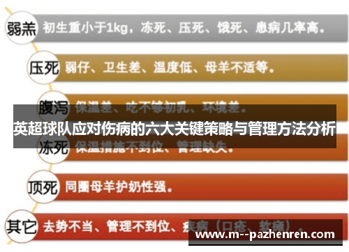 英超球队应对伤病的六大关键策略与管理方法分析